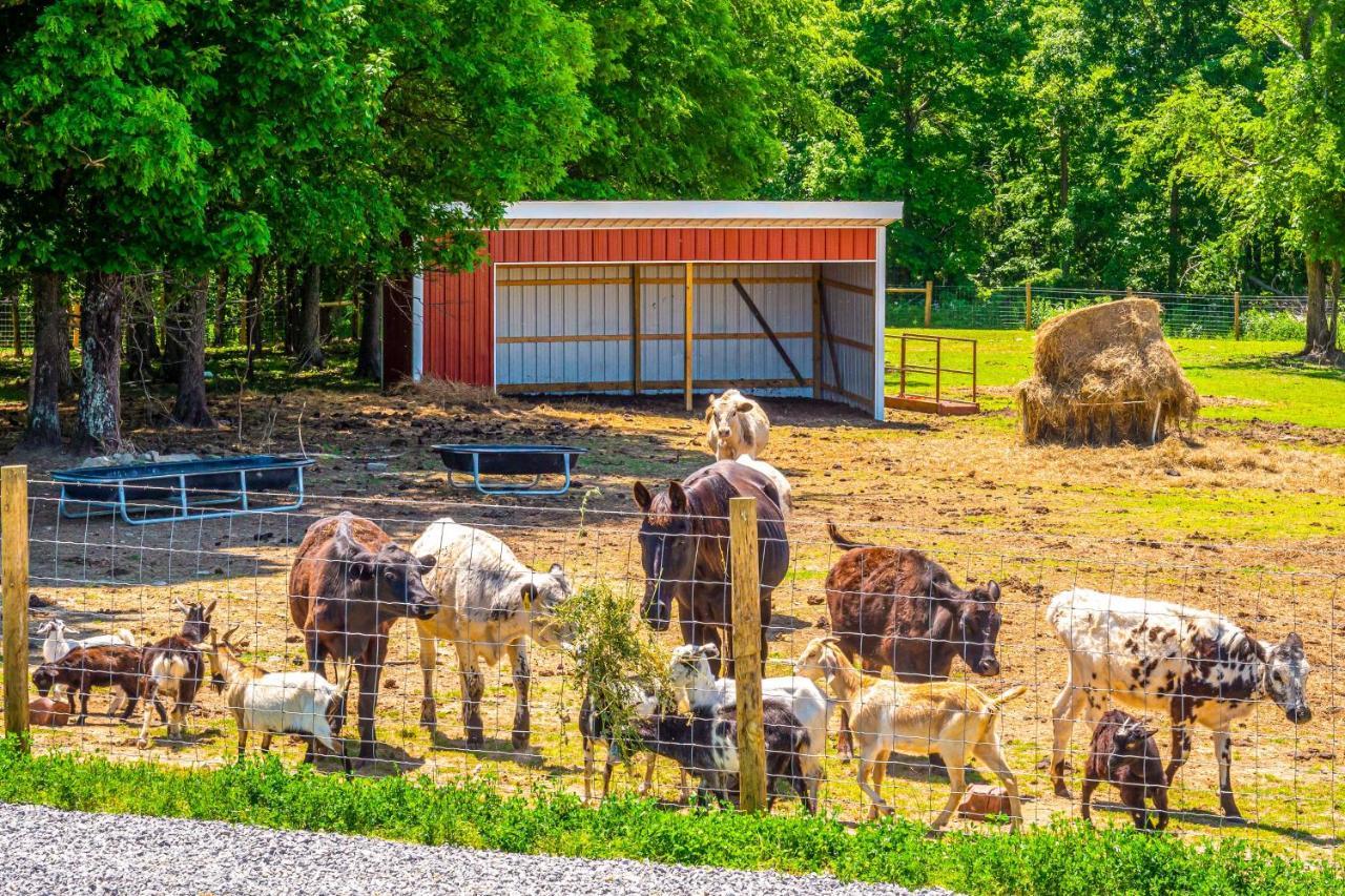 Almost Heaven Farmers Paradise On 50 Acres! Villa Brownsville Exterior foto